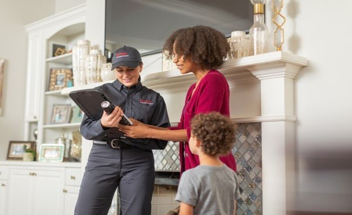 Gaithersburg Pest Control Options: What’s Best? Gaithersburg Pest Control